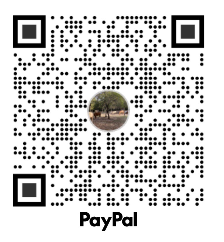 PayPal QR code